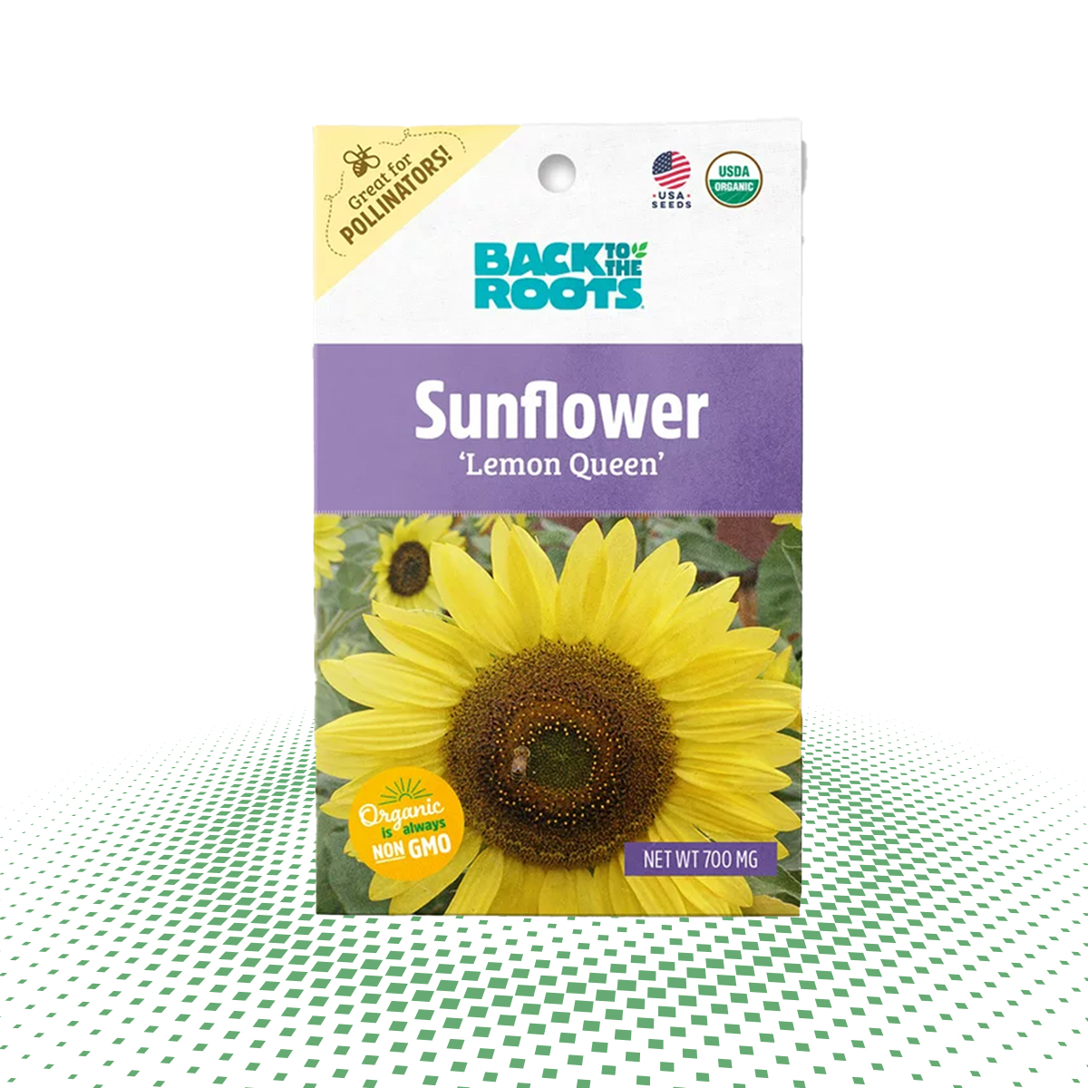 custom sunflower seed boxes 
